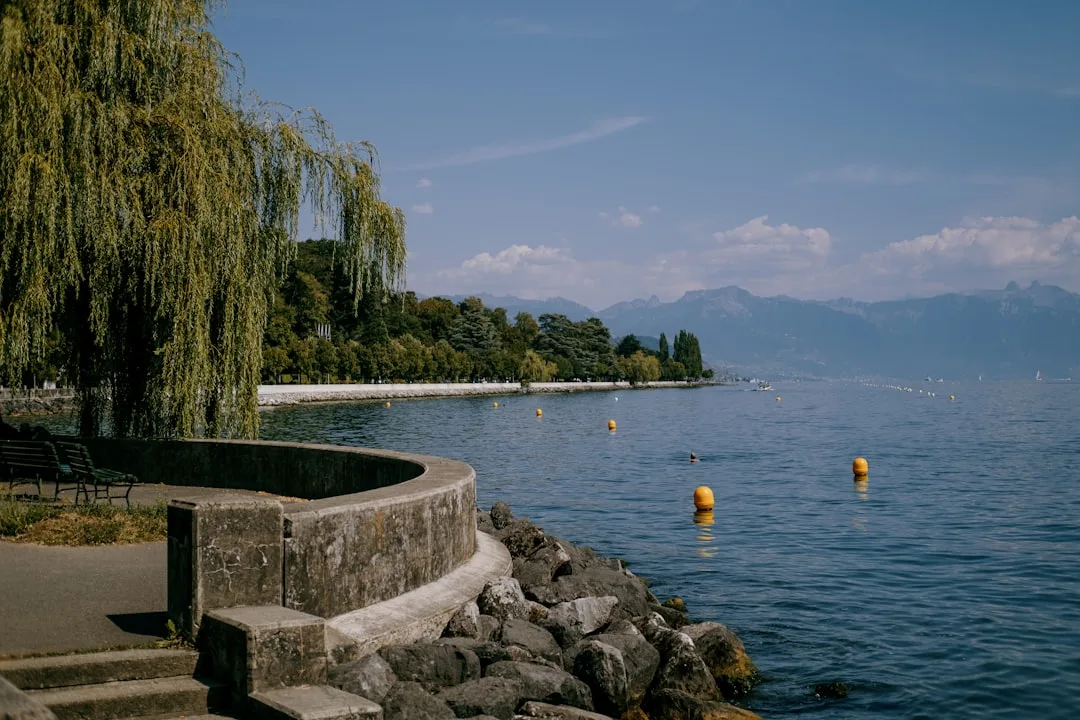 View of Lausanne on the lakeshore, with a serene atmosphere and clear sky in the background