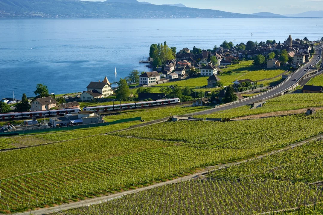 Lausanne central station with train platforms and easy access to the city center on foot