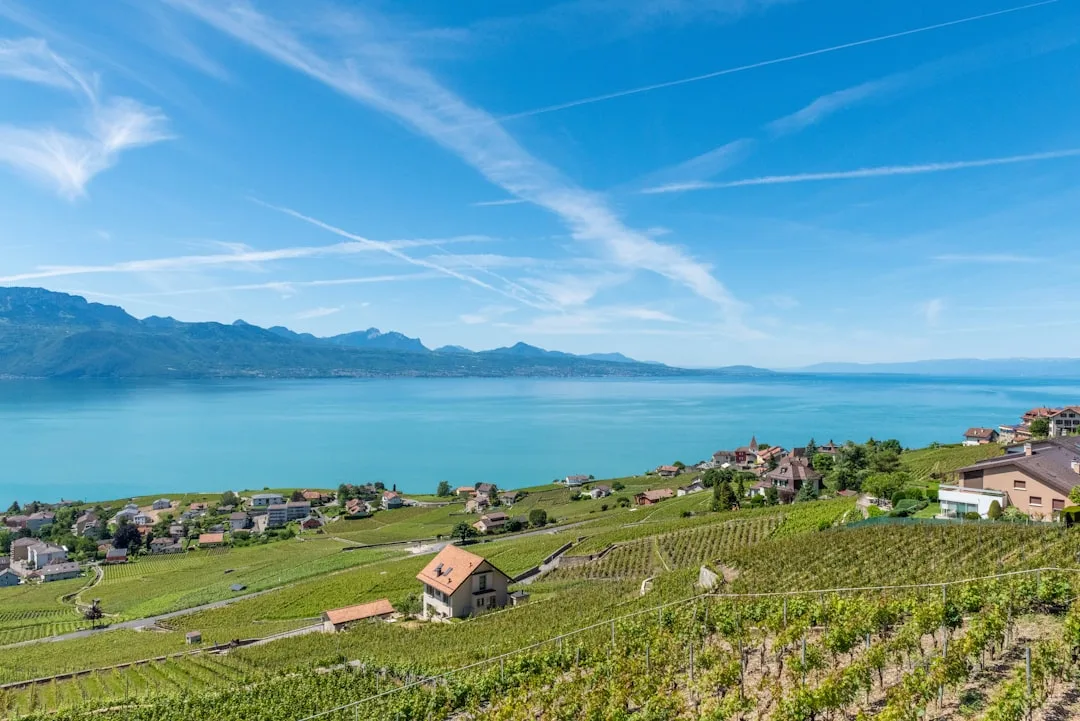 View of Lausanne on the shores of Lake Geneva, with mountains in the background and a tranquil urban atmosphere.