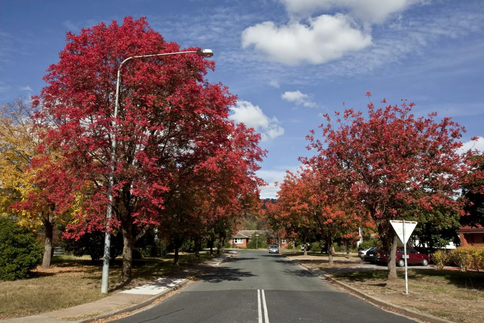 Paisagem de Canberra em clima seco, com céu limpo e pessoas usando camadas leves e agasalhos.