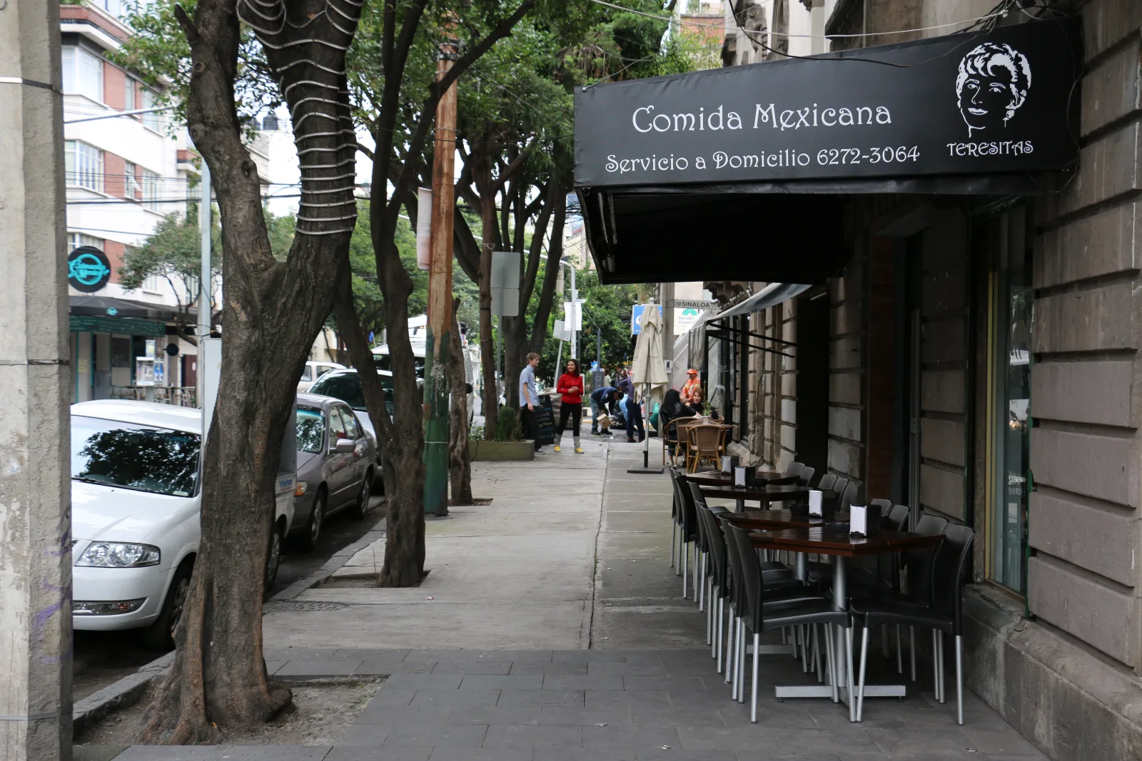 Rua arborizada e tranquila de La Condesa, com prédios baixos e clima agradável para se hospedar.
