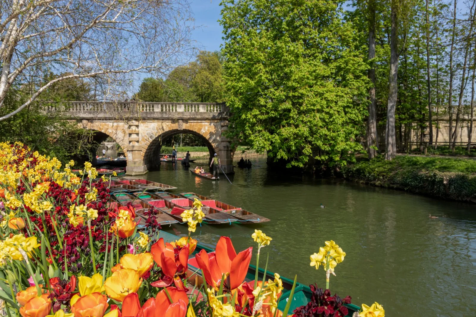 Punting no River Cherwell em Oxford, com margens verdes e clima tranquilo.