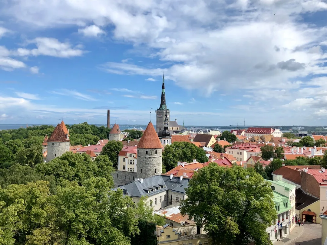 Passarela de madeira sobre um bog enevoado ao nascer do sol perto de Tallinn