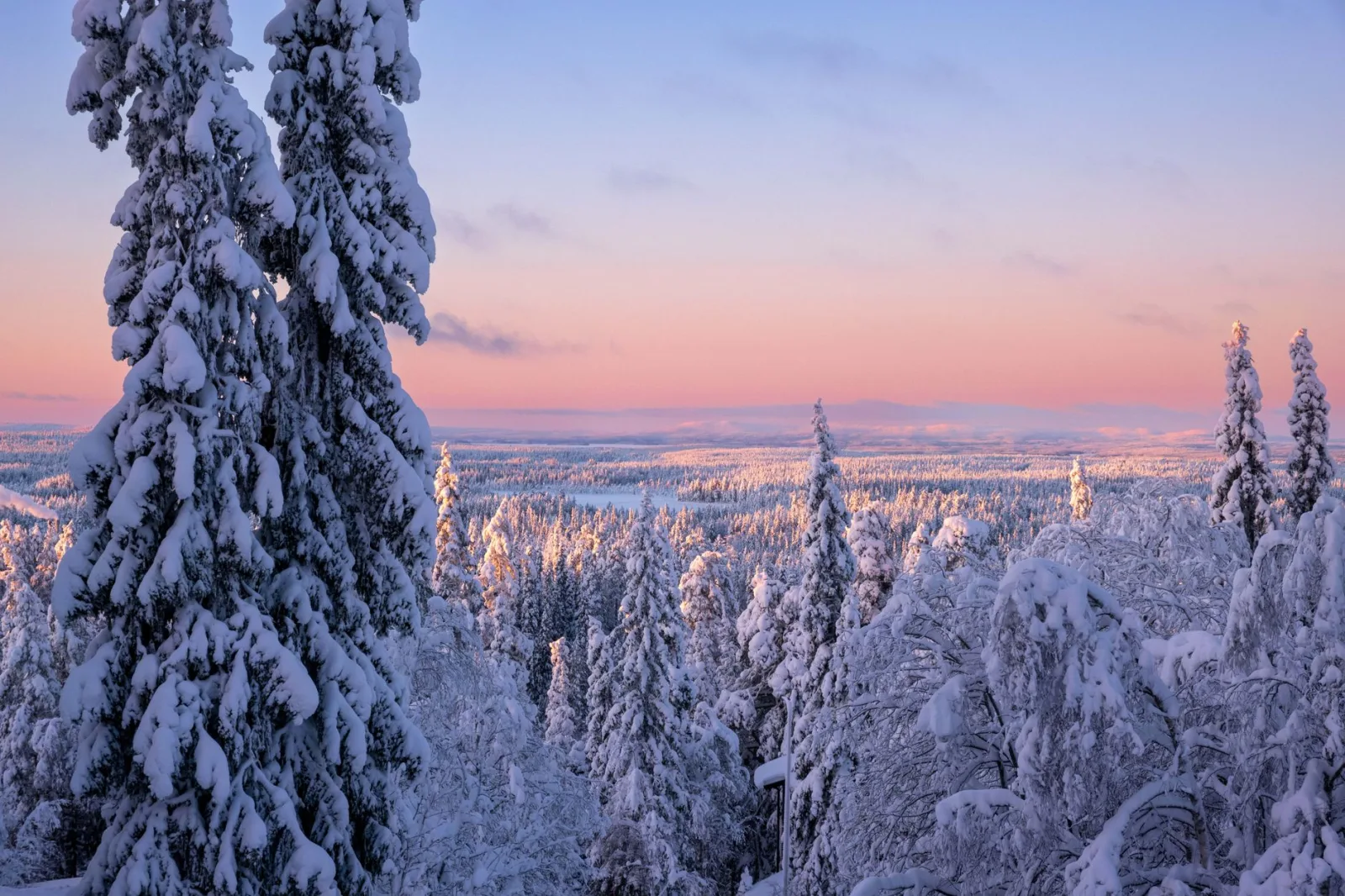 Paisaje nevado en Ivalo bajo un cielo oscuro, ideal para ver la aurora boreal.