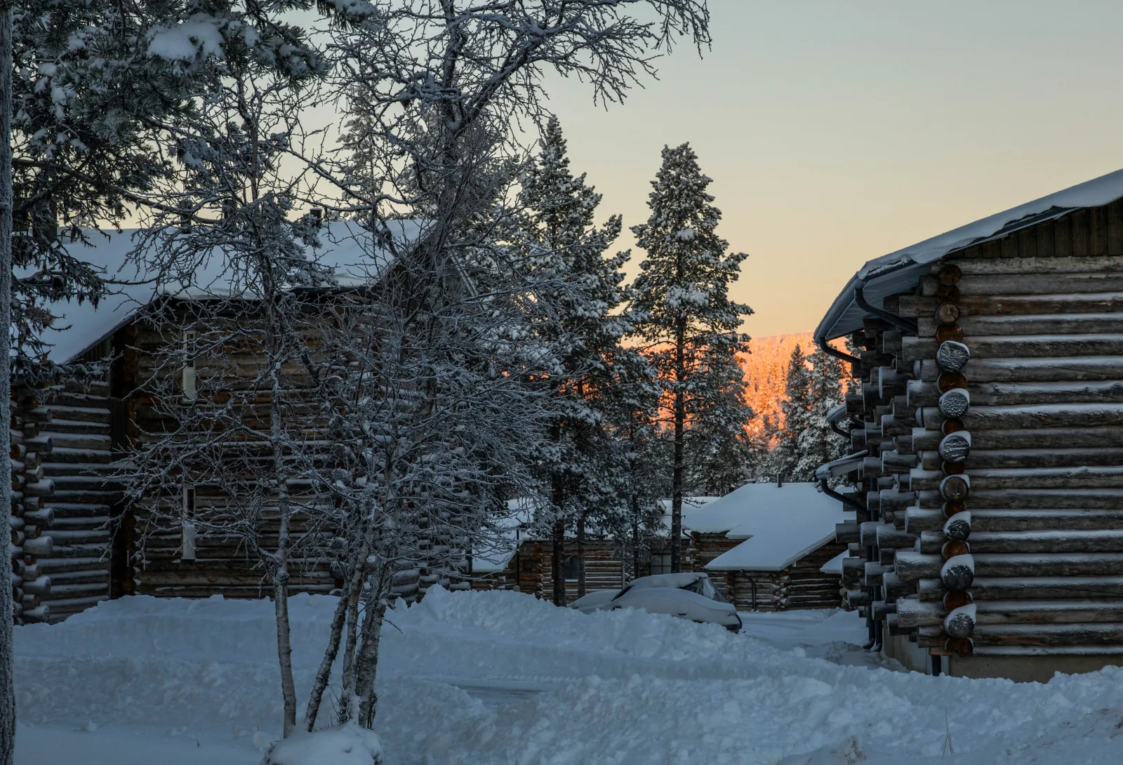 Paisaje ártico de Saariselkä con sendero y bosque bajo bajo cielo abierto.