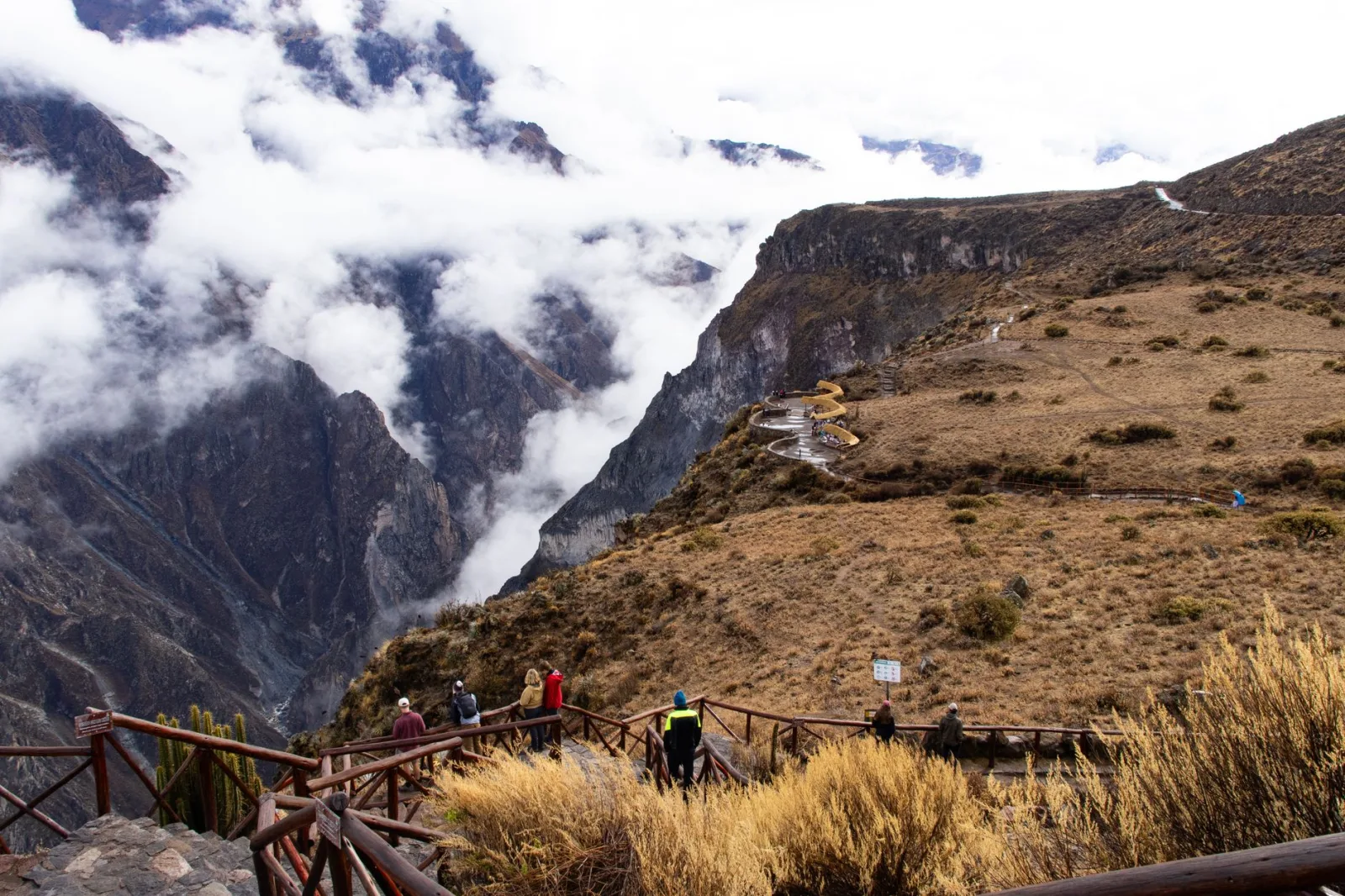 Paisaje del Valle del Colca con montañas andinas y vicuñas al borde de la carretera