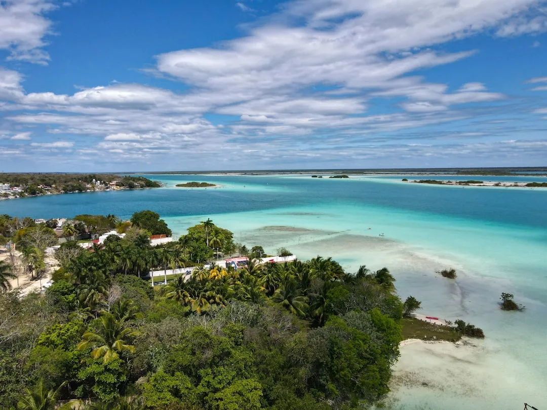 Carretera costera rumbo a Bacalar, con vegetación tropical y cielo abierto al fondo