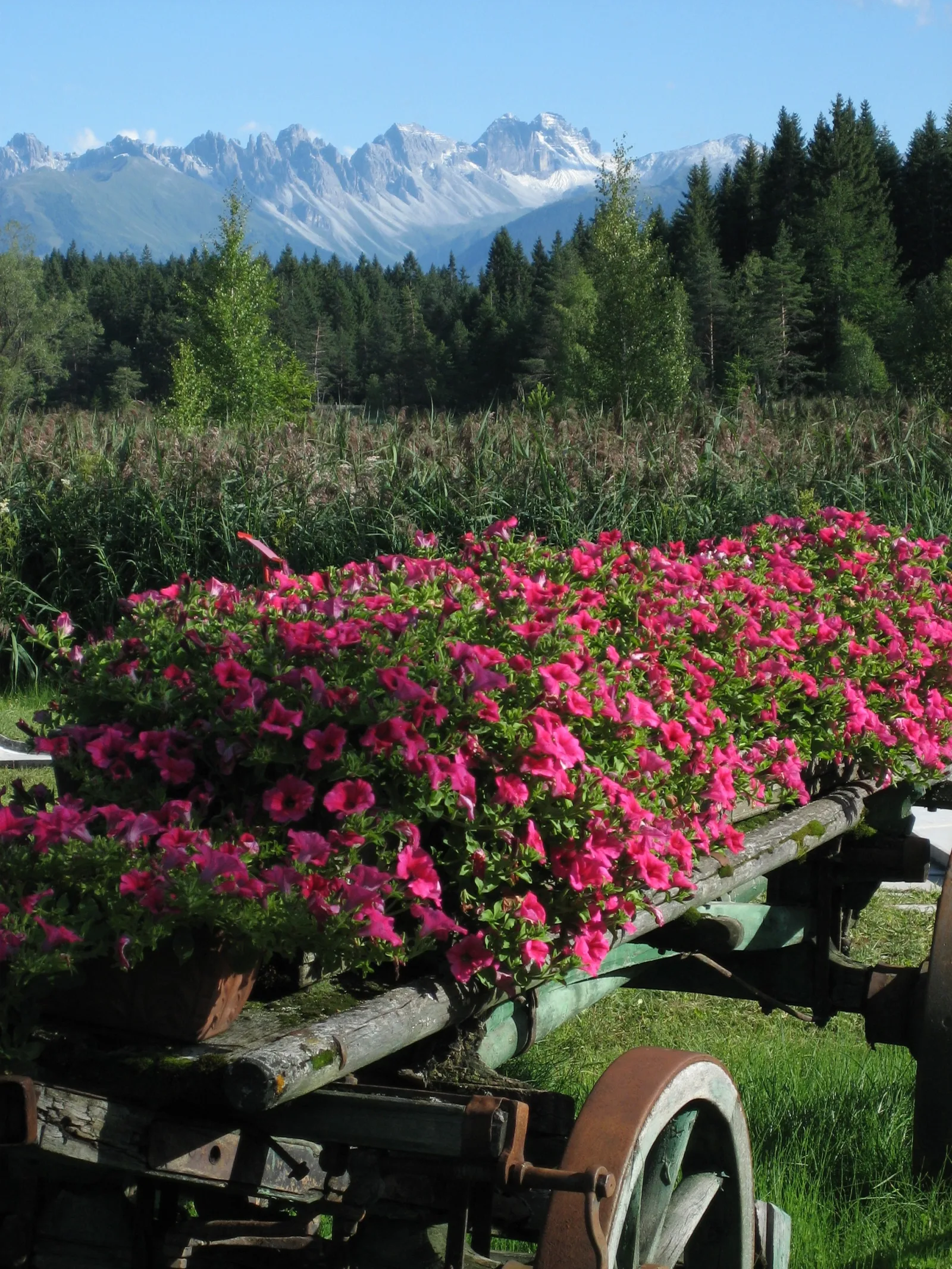 View of downtown Seefeld in Tirol with mountains in the background and a peaceful atmosphere for different travelers