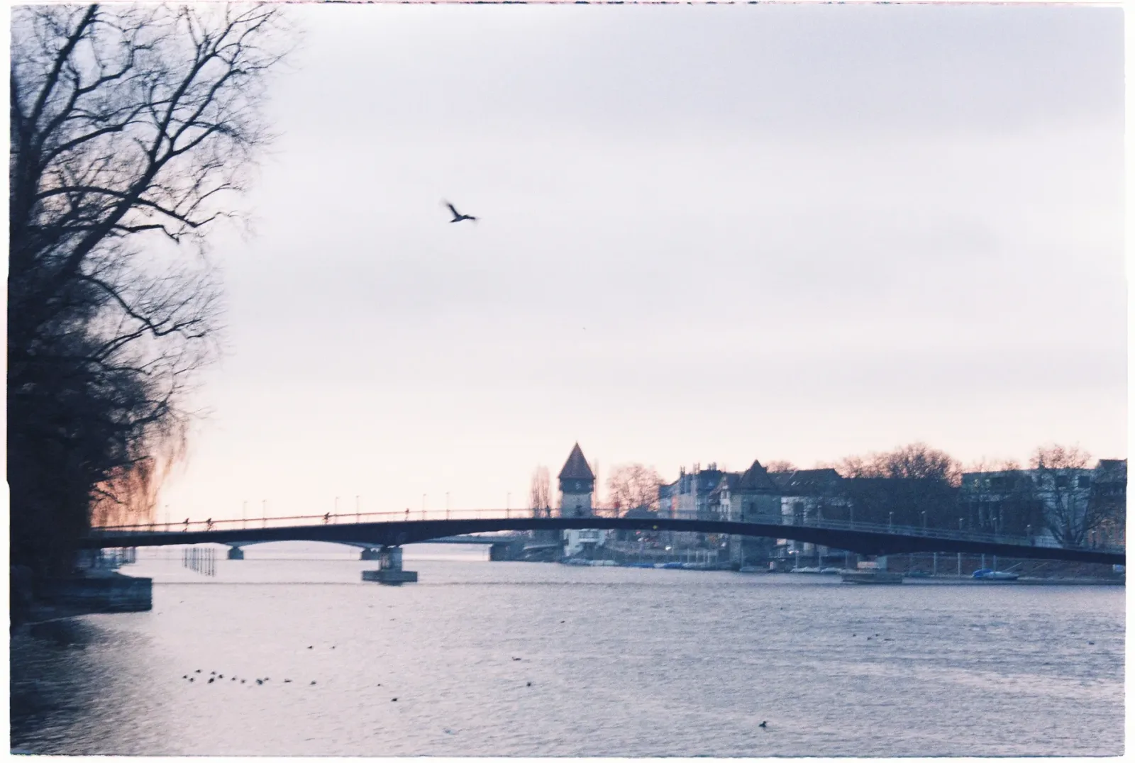 Vista de Konstanz à beira do Lago de Constança, com construções históricas e água ao fundo